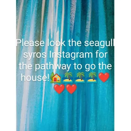 Seagull Syros Seaside *