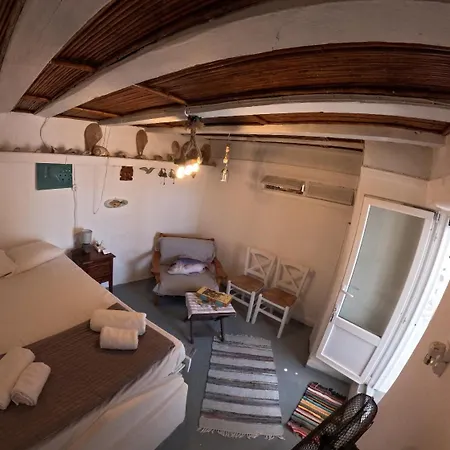 Seagull Syros Seaside