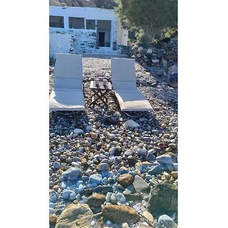 Seagull Syros Seaside