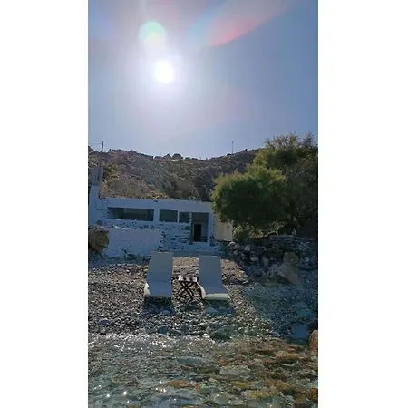 Seagull Syros Seaside *