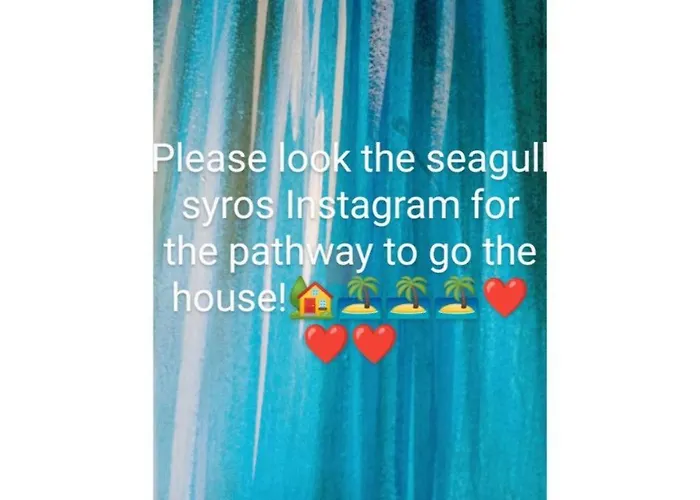 Seagull Syros Seaside *