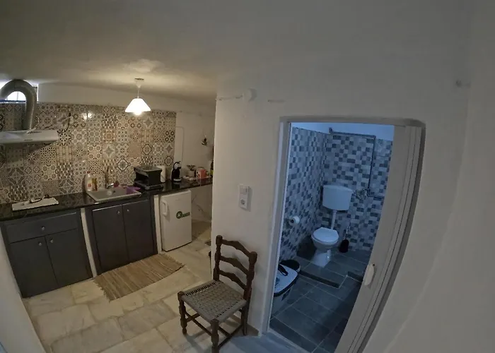 Seagull Syros Seaside