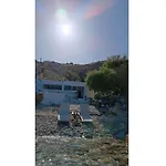 Seagull Syros Seaside *