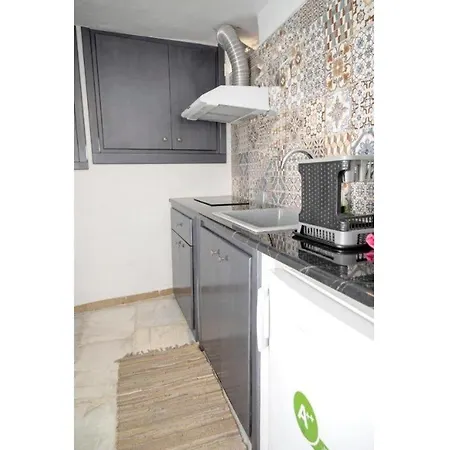 Seagull Syros Seaside