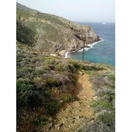 Seagull Syros Seaside