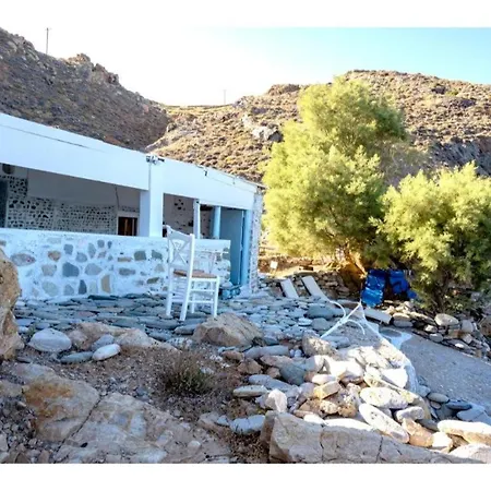 Seagull Syros Seaside *