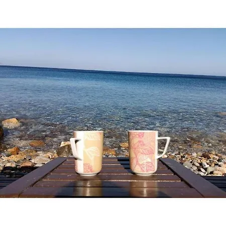 Дом отдыха Seagull Syros Seaside Эрмуполис
