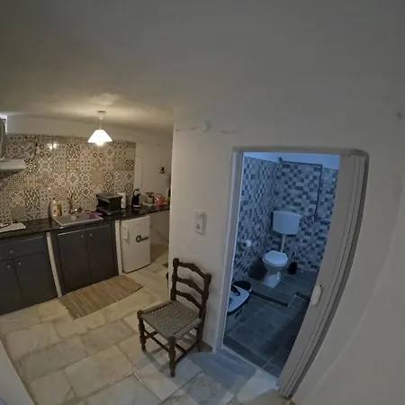 Seagull Syros Seaside