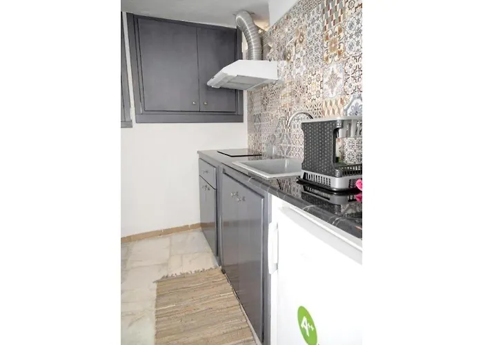 Seagull Syros Seaside