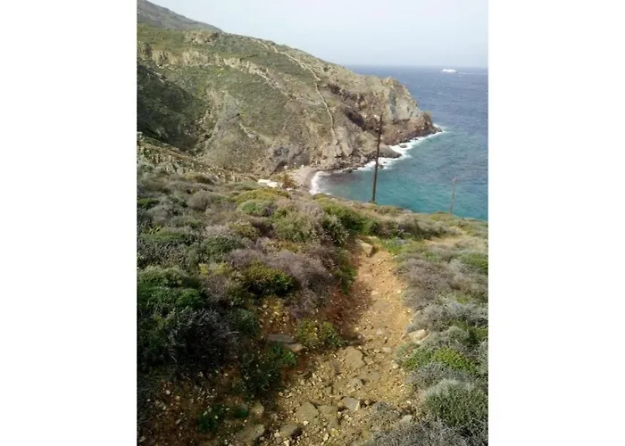 Seagull Syros Seaside