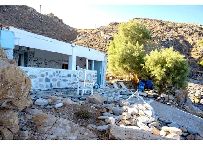 Seagull Syros Seaside *