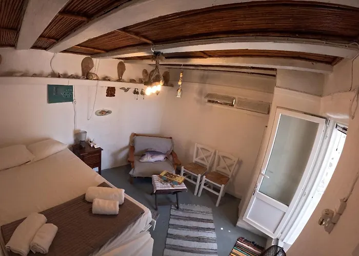 Seagull Syros Seaside