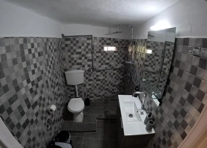 Seagull Syros Seaside Ermoupoli